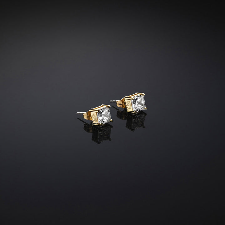 Chiara Ferragni Classic Ohrstecker - J19AVJ20