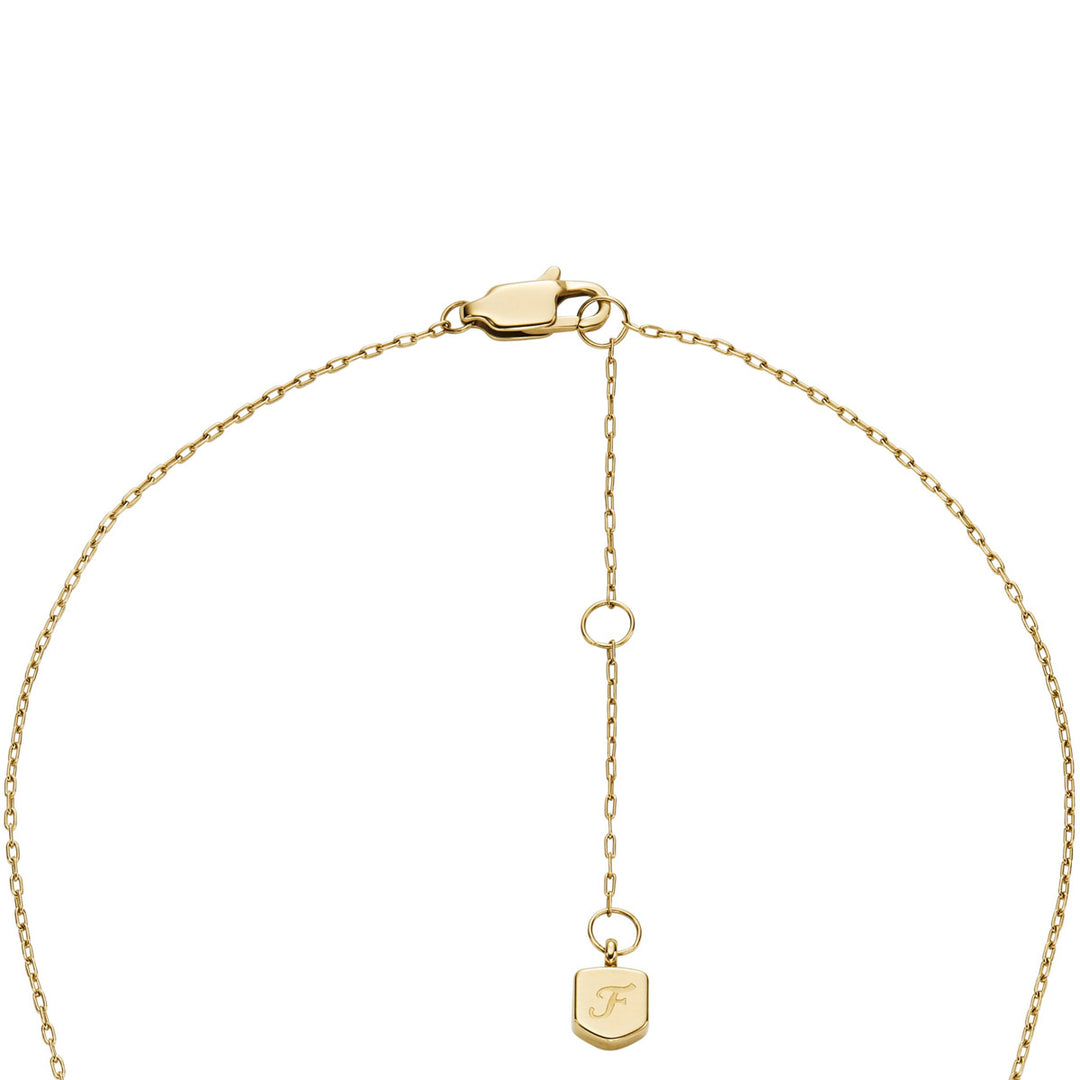 Fossil Jewelry Set - JF04815SET