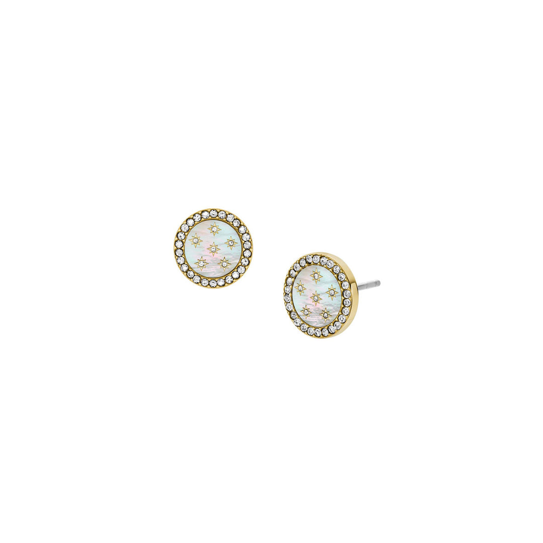 Fossil Jewelry Ohrstecker - JF04868710