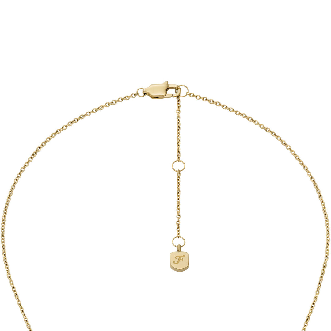 Fossil Jewelry Set - JF04881SET