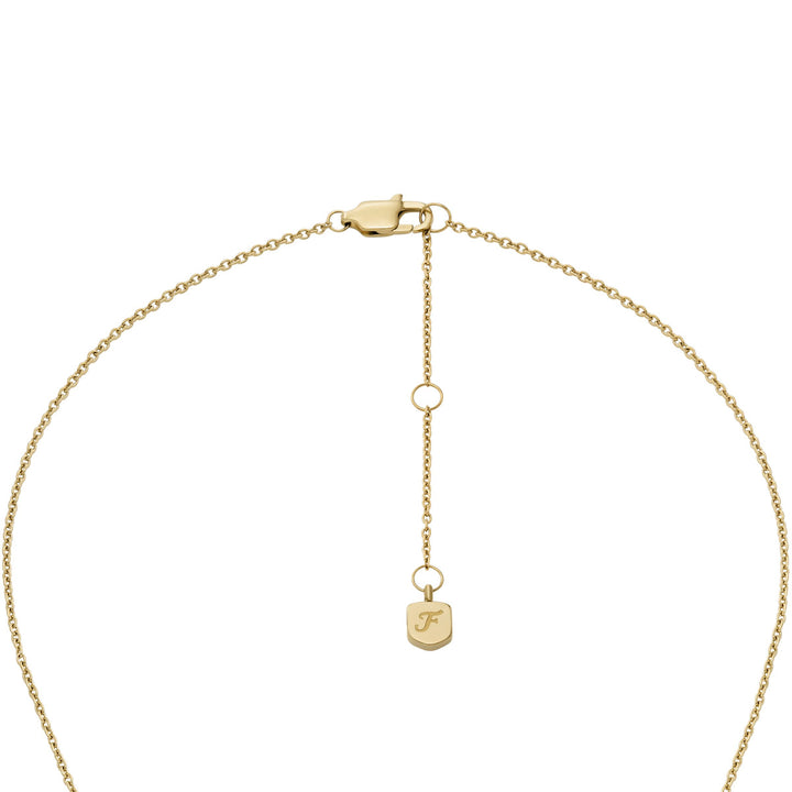 Fossil Jewelry Set - JF04881SET