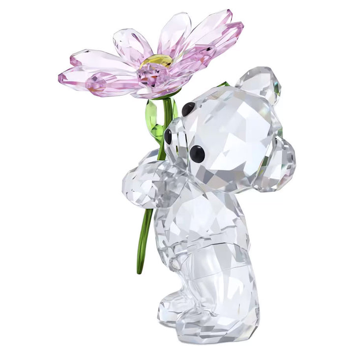 Swarovski Kris Bär Ein Gänseblümchen für Dich - 5675327