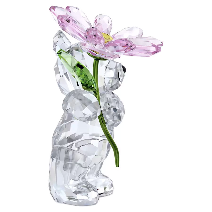 Swarovski Kris Bär Ein Gänseblümchen für Dich - 5675327