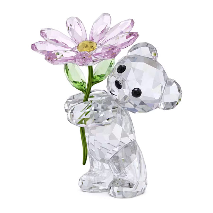Swarovski Kris Bär Ein Gänseblümchen für Dich - 5675327