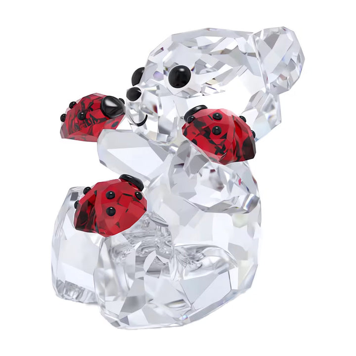 Swarovski Kris Bär Viel Glück Bär - 5675983
