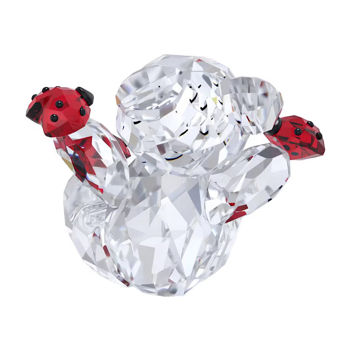 Swarovski Kris Bär Viel Glück Bär - 5675983