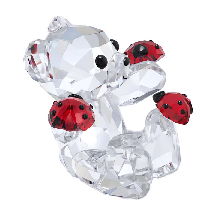 Swarovski Kris Bär Viel Glück Bär - 5675983