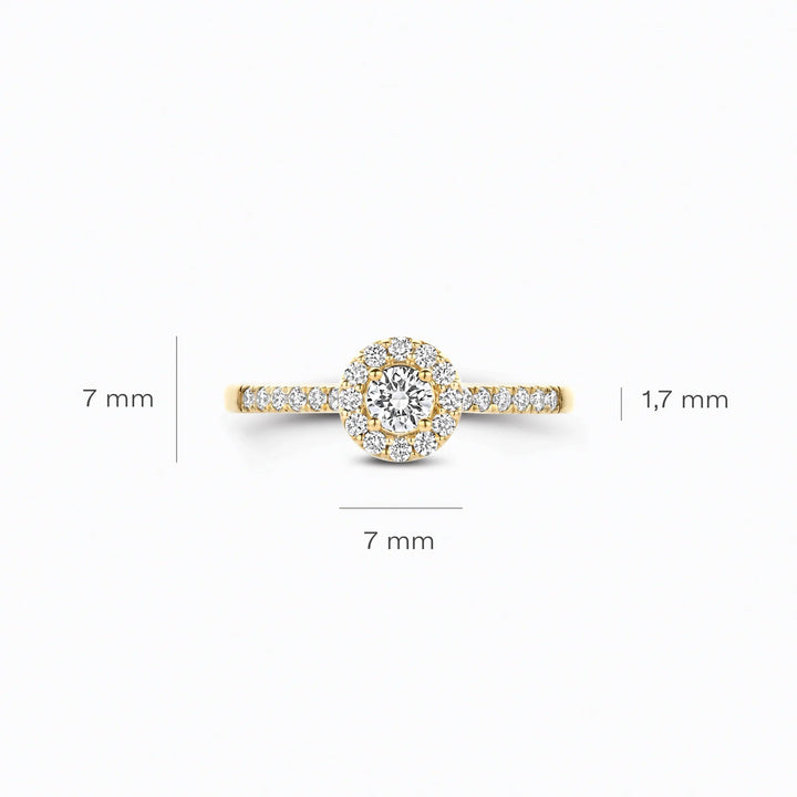 Blush Lab Diamonds Ring 14k Gelbgold - LG1058Y