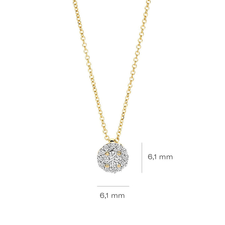 Blush Lab Diamonds Halskette 14k Gelbgold - LG3010Y