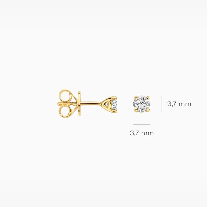 Blush Lab Diamonds Ohrstecker 14k Gelbgold - LG7001Y