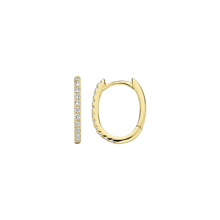 Blush Lab Grown Diamonds Earrings 14k Yellow Gold - LG7007Y
