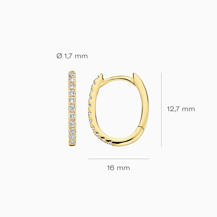 Blush Lab Diamonds Ohrringe 14k Gelbgold - LG7007Y