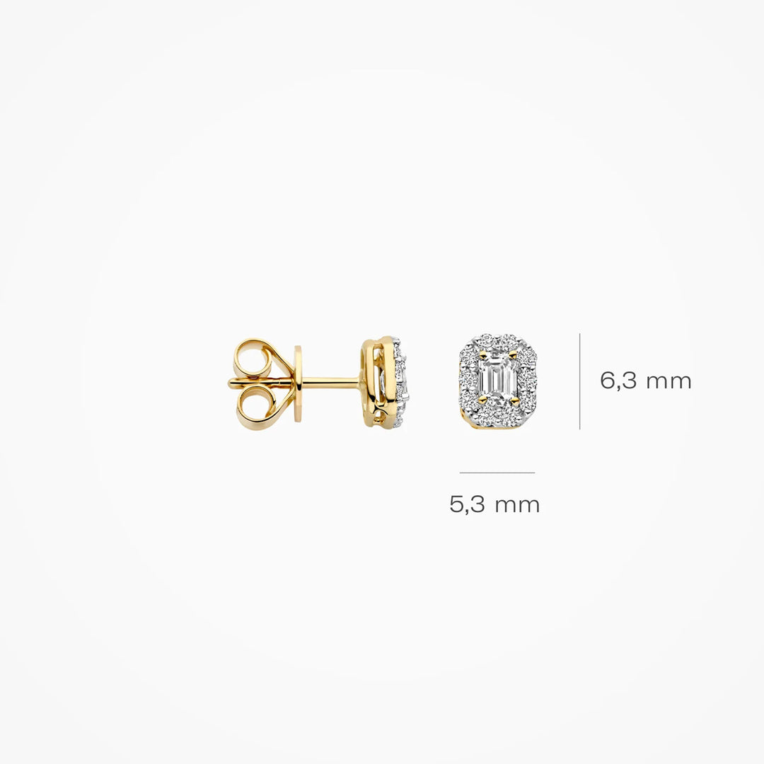 Blush Lab Diamonds Ohrstecker 14k Gelbgold - LG7010Y