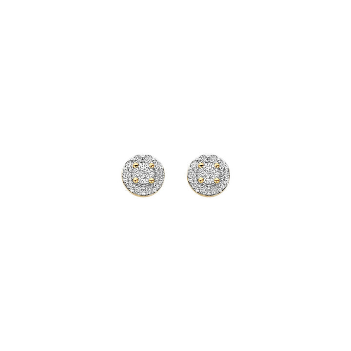 Blush Lab Grown Diamond Stud Earrings 14k Yellow Gold - LG7011Y