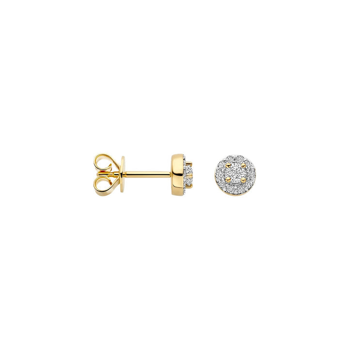 Blush Lab Diamonds Ohrstecker 14k Gelbgold - LG7011Y