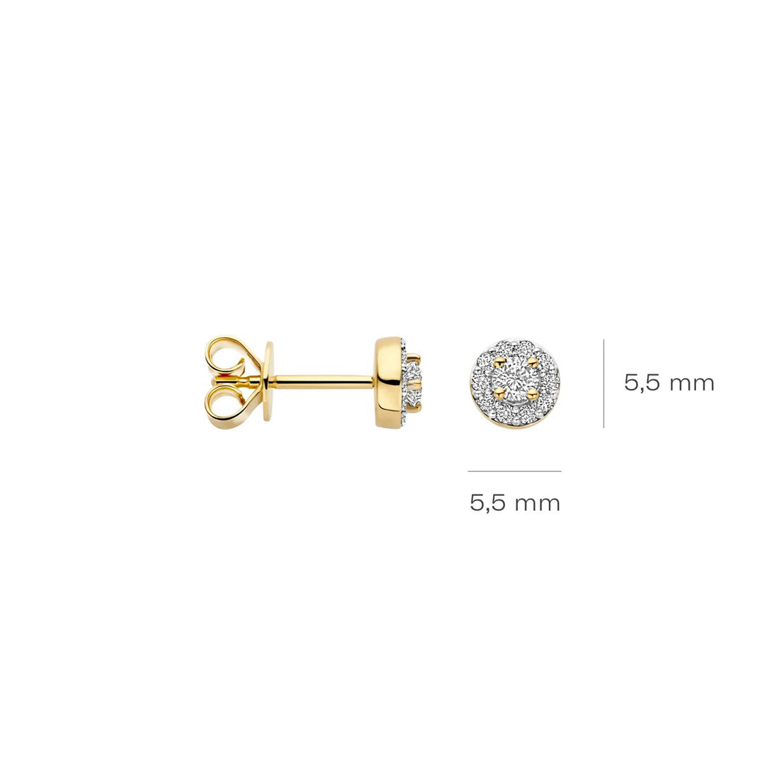Blush Lab Diamonds Ohrstecker 14k Gelbgold - LG7011Y