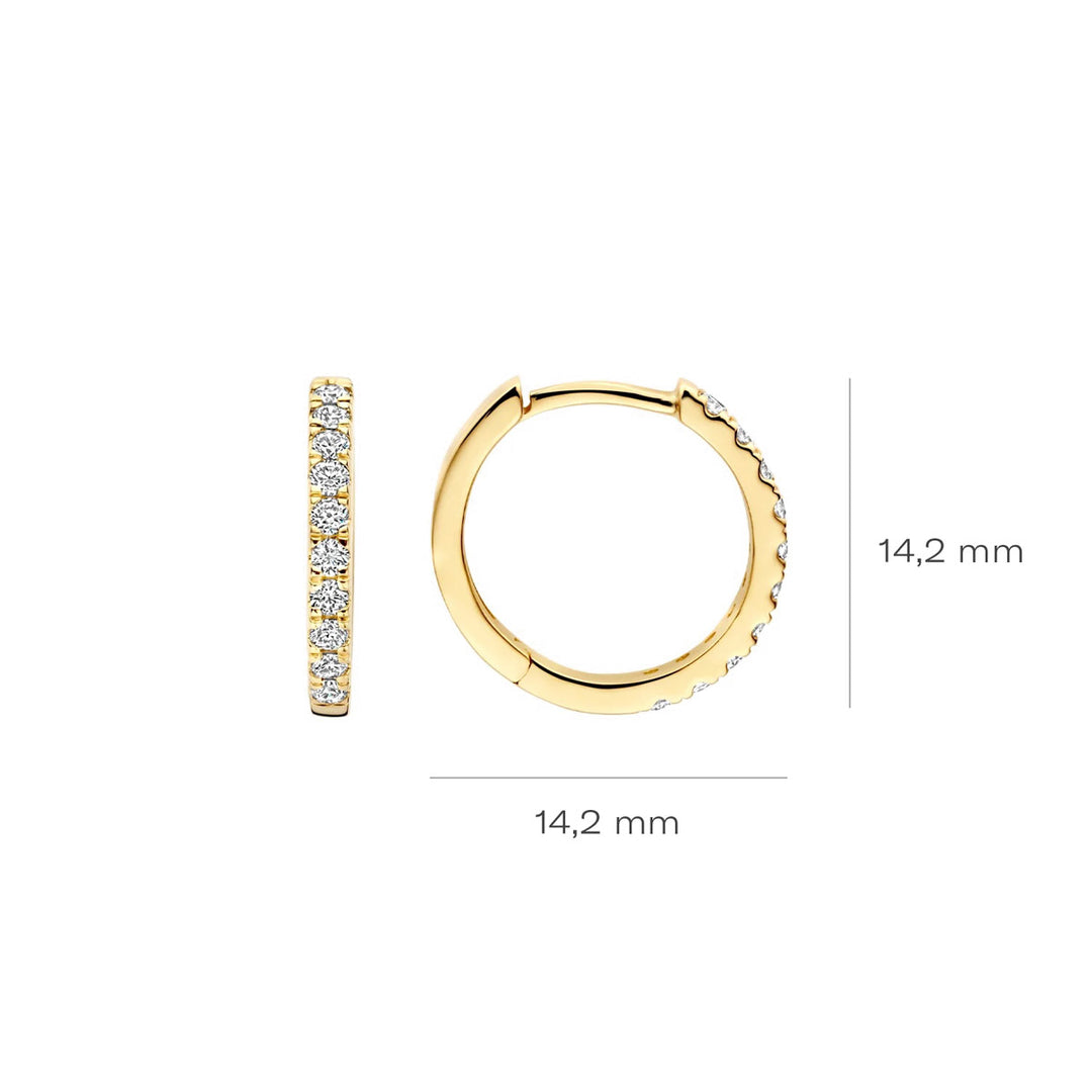 Blush Lab Diamonds Ohrringe 14k Gelbgold - LG7012Y