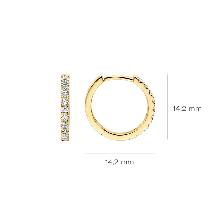Blush Lab Diamonds Ohrringe 14k Gelbgold - LG7012Y