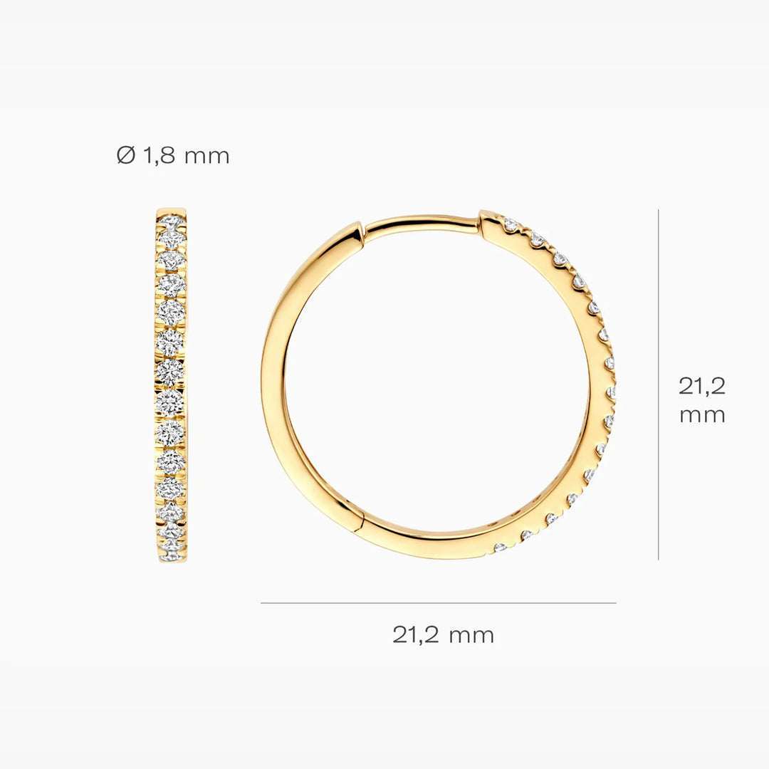 Blush Lab Diamonds Ohrringe 14k Gelbgold - LG7013Y