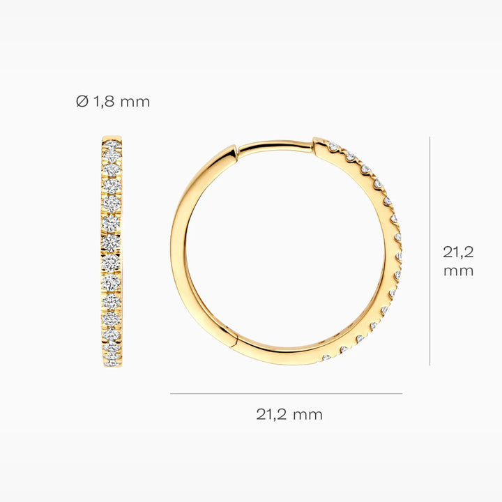 Blush Lab Diamonds Ohrringe 14k Gelbgold - LG7013Y