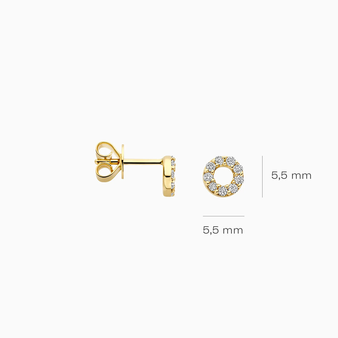 Blush Lab Diamonds Ohrstecker 14k Gelbgold - LG7016Y