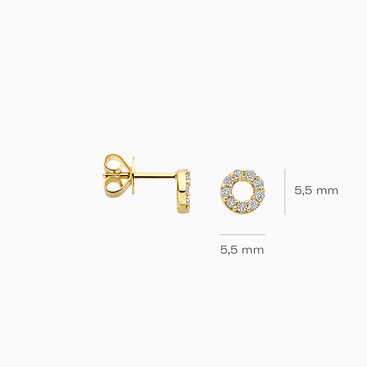 Blush Lab Diamonds Ohrstecker 14k Gelbgold - LG7016Y