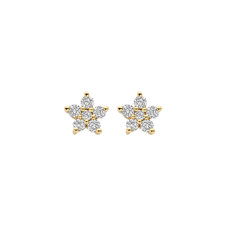 Blush Lab Diamonds Stud Earrings 14k Yellow Gold - LG7018Y