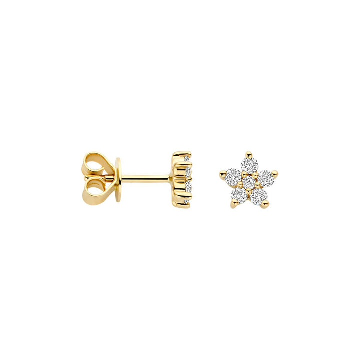 Blush Lab Diamonds Ohrstecker 14k Gelbgold - LG7018Y