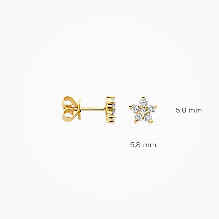 Blush Lab Diamonds Ohrstecker 14k Gelbgold - LG7018Y