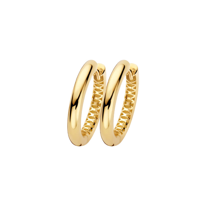 Blush Creolen 14k Gelbgold - LG7022Y