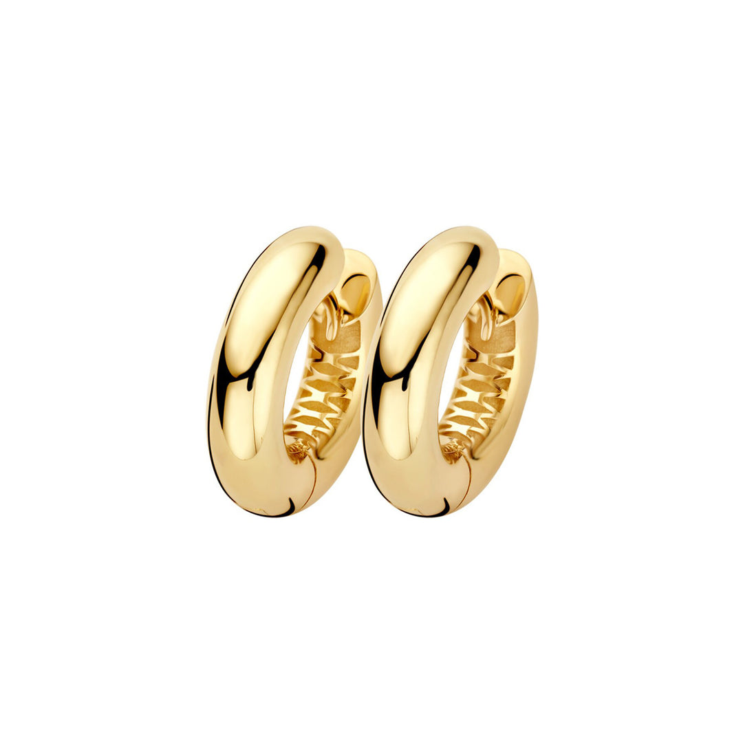 Blush Creolen 14k Gelbgold - LG7023Y
