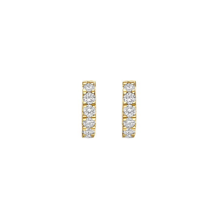Blush Lab Diamonds Ohrringe 14k Gelbgold - LG7031Y