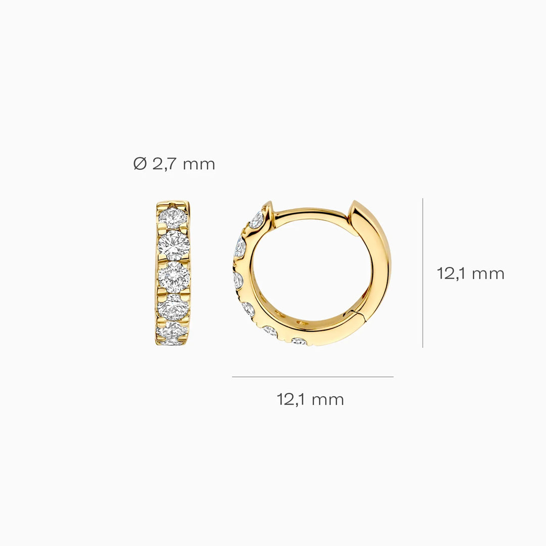 Blush Lab Diamonds Ohrringe 14k Gelbgold - LG7031Y