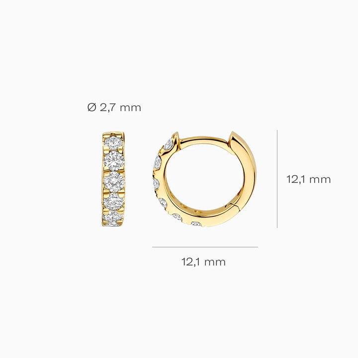 Blush Lab Diamonds Ohrringe 14k Gelbgold - LG7031Y