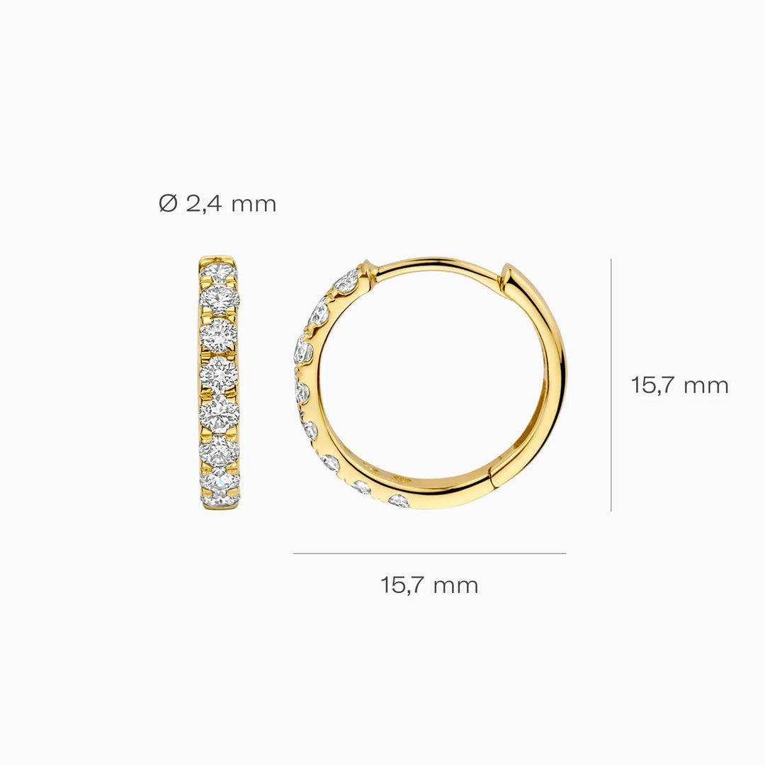 Blush Lab Diamonds Ohrringe 14k Gelbgold - LG7032Y
