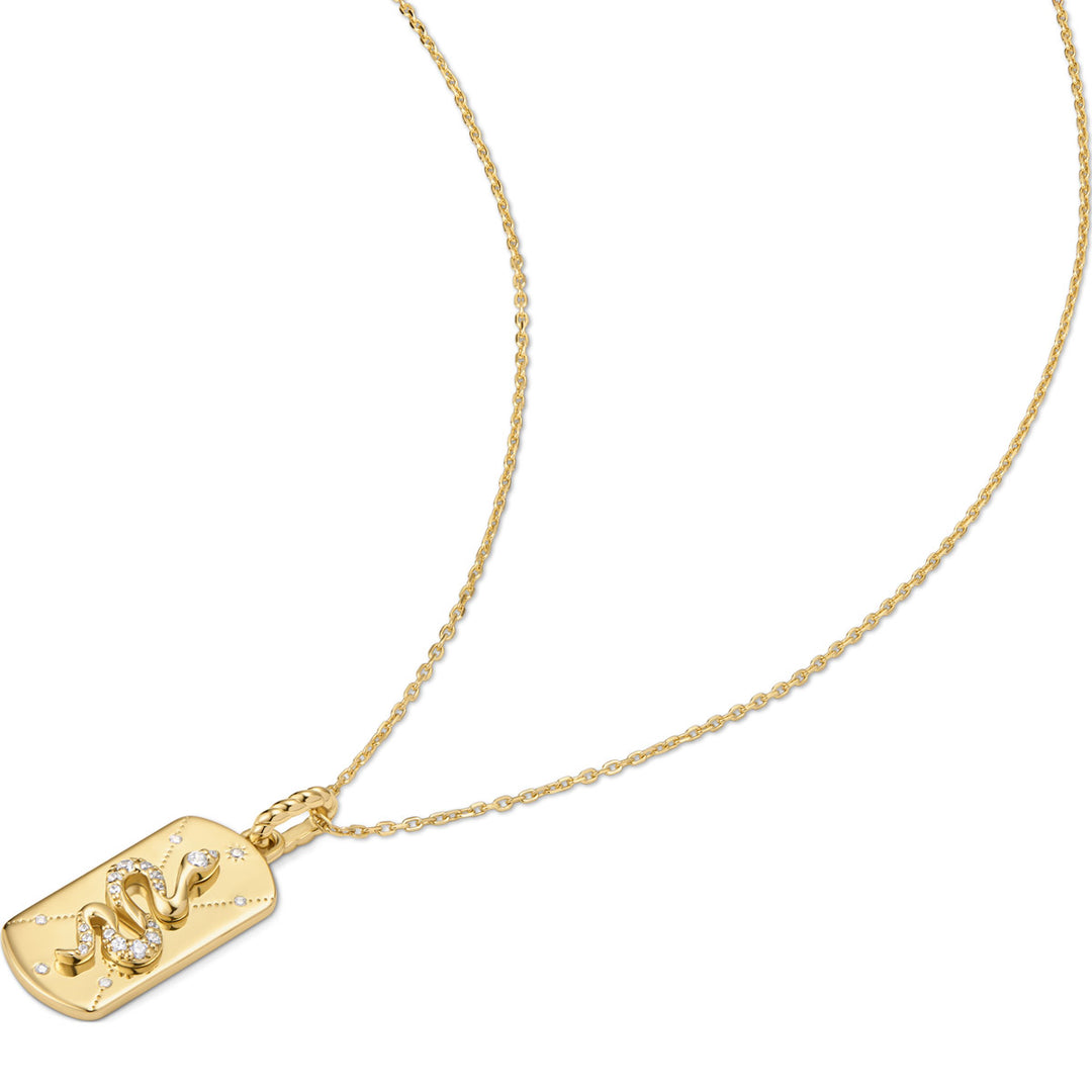 Ania Haie Gold Serpent Halskette - N072-06G