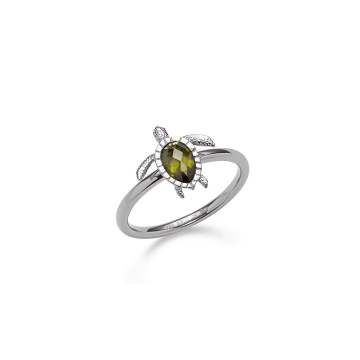 Paul Hewitt Turtle Ring Silber