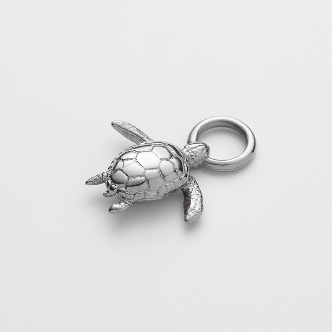 Paul Hewitt Turtle Set - PH-SET-6