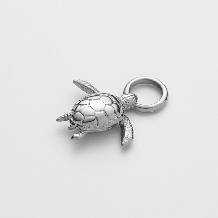 Paul Hewitt Turtle Set - PH-SET-6