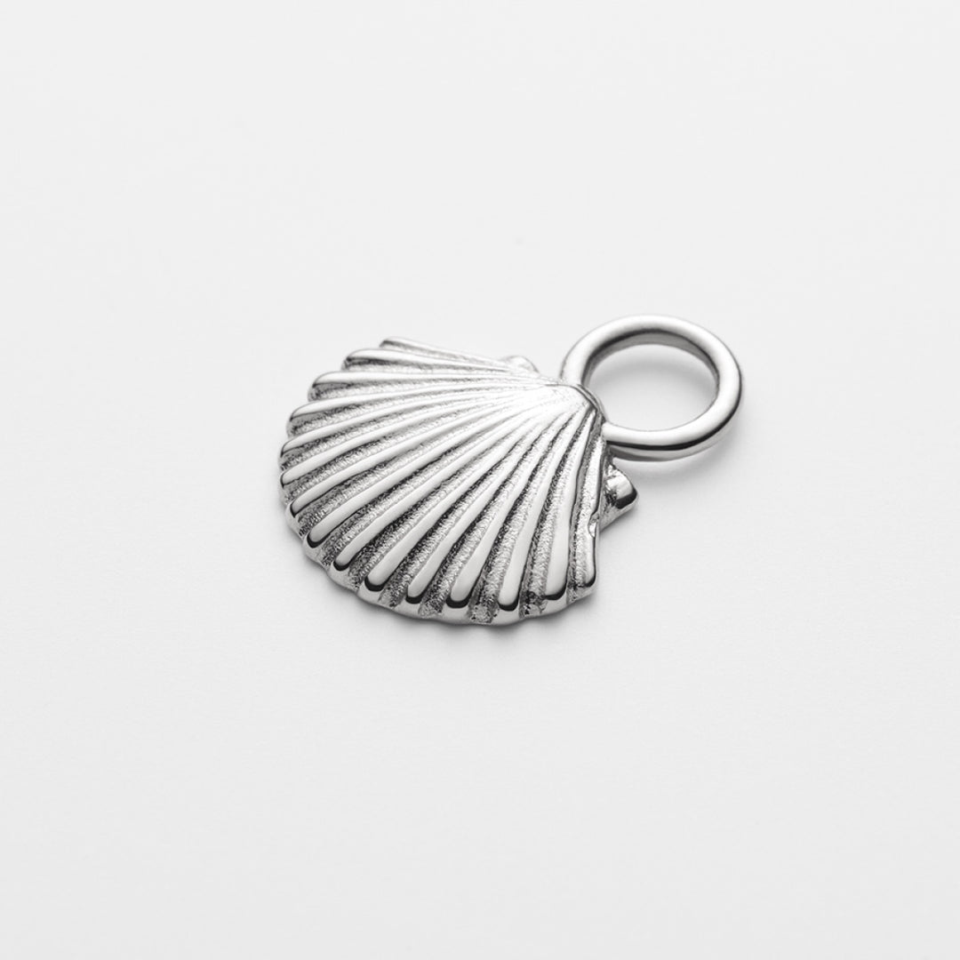 Paul Hewitt Scallop Shell Set - PH-SET-5