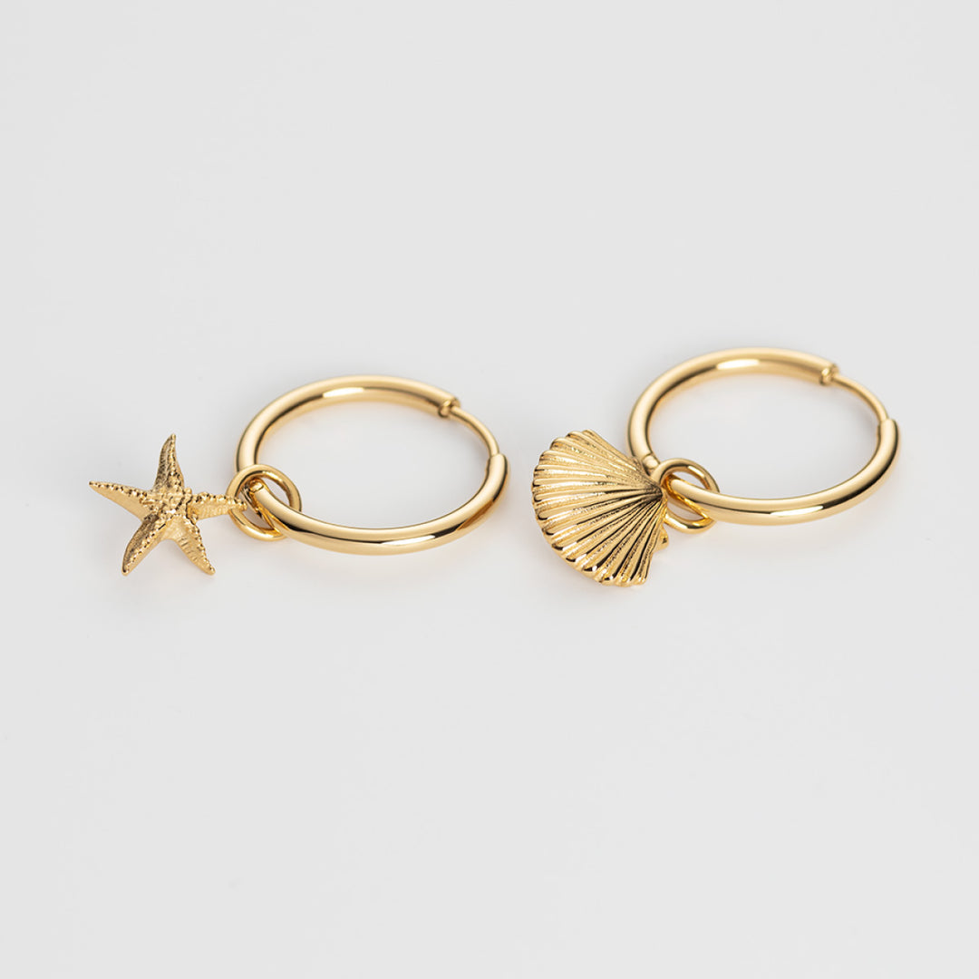 Paul Hewitt Scallop Shell Set - PH-SET-9