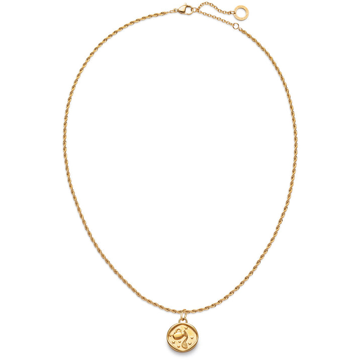 Paul Hewitt Aquarius Charm Gold - PH-JE-1213