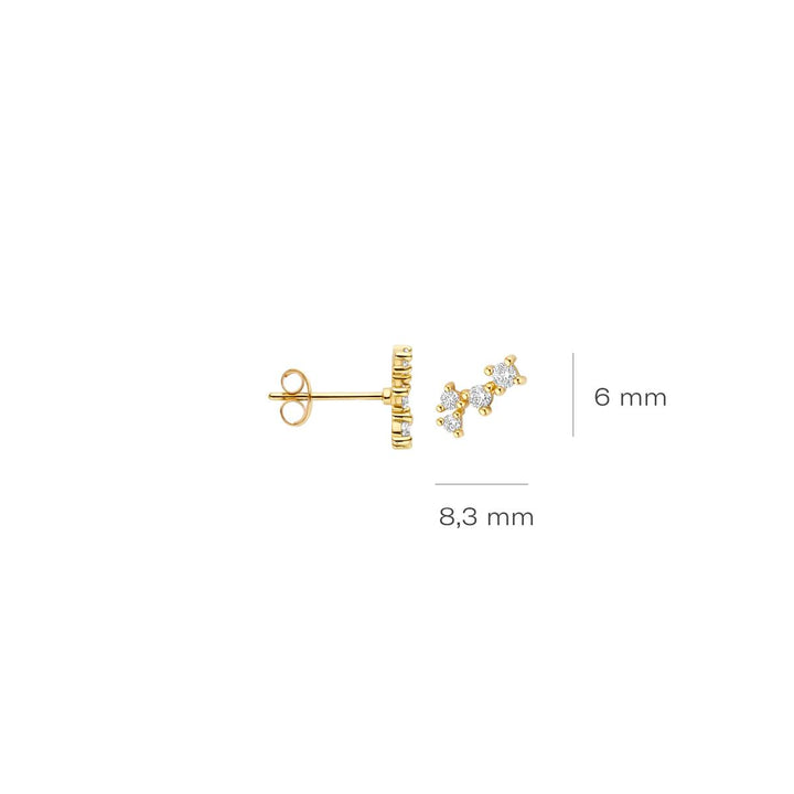 Blush Ohrstecker 14k Gelbgold - 7373YZI