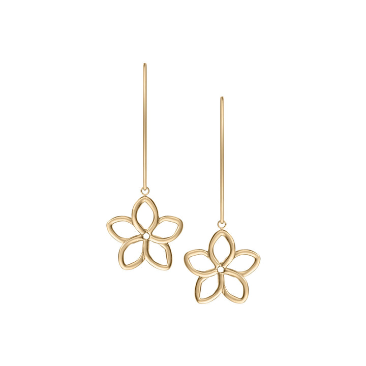 Skagen Moderne Ikon Earrings - SKJ1911710
