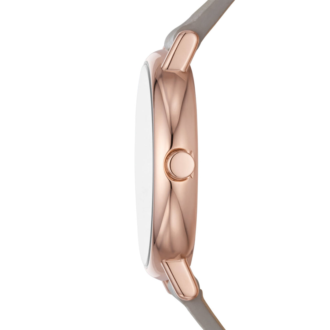 Skagen Signatur Lille - SKW3060
