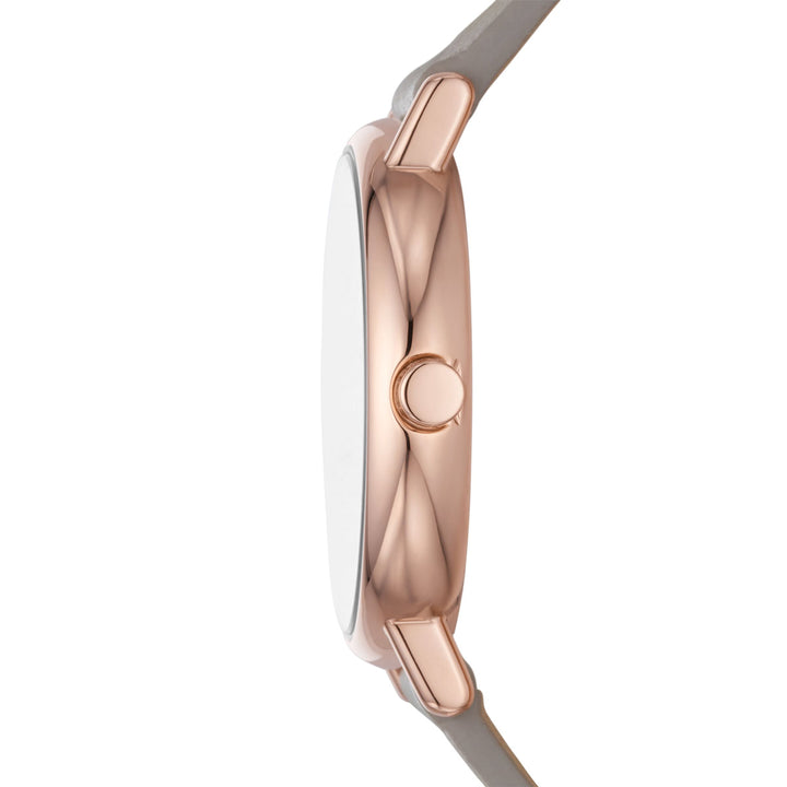 Skagen Signatur Lille - SKW3060