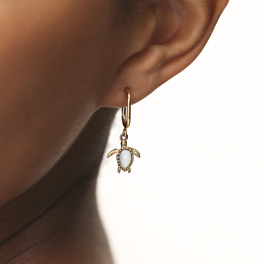 Paul Hewitt Turtle Hoops White Breeze - PH-JE-2342