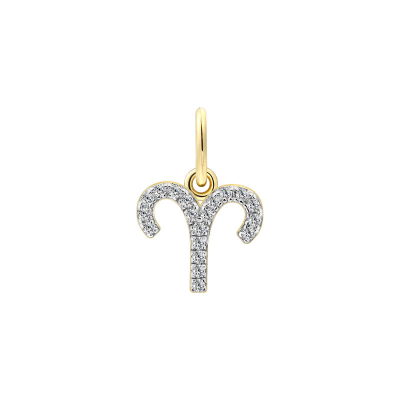Pendentif Xenox Charms - XS10460G