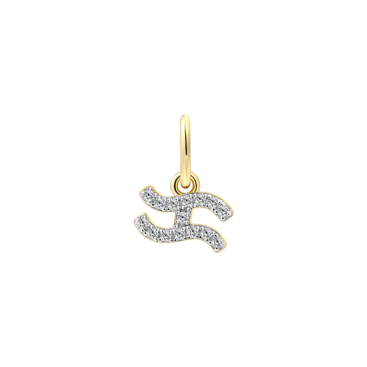 Xenox Wassermann Charm - XS10470G