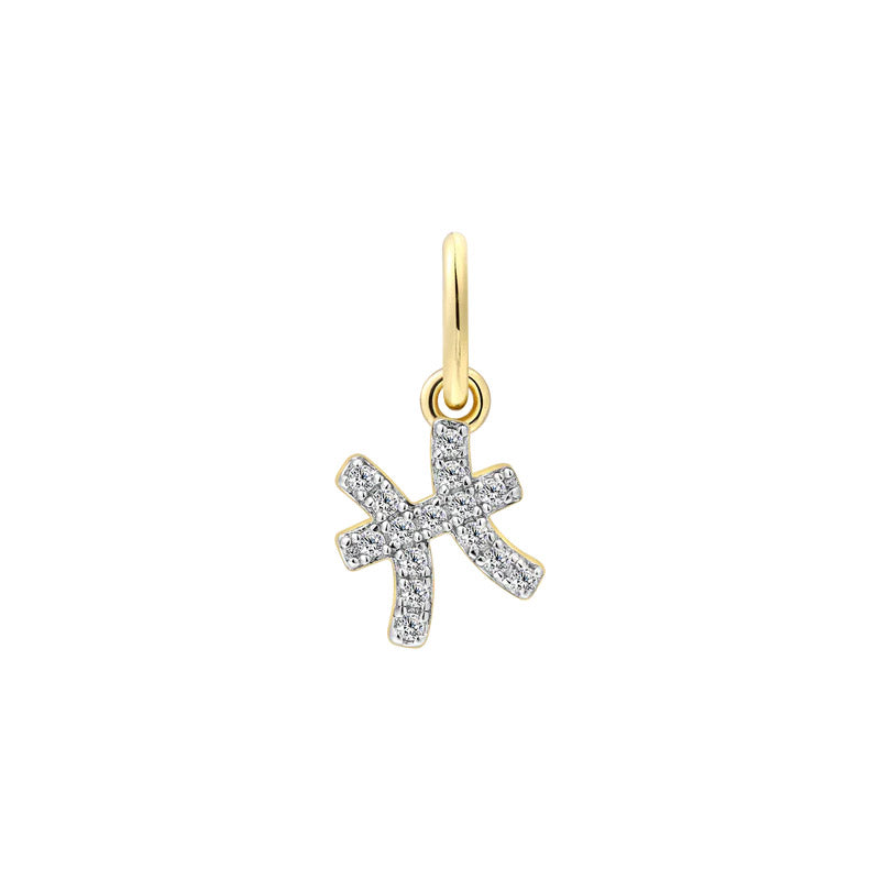 Charm Pesci Xenox - XS10471G